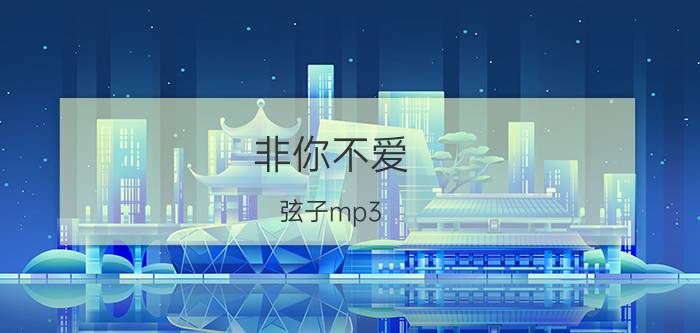 非你不爱 弦子mp3（非你不爱 弦子与方炯镔合唱的歌曲）